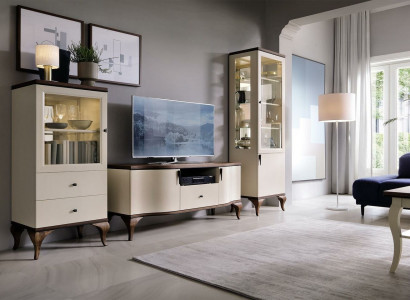 Klassische Wohn Deko Wand Wohnzimmer Vitrine Sideboard RTV Regal Wände